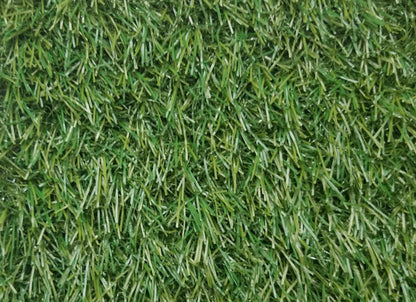 Venice 3496 Grass