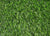 Venice 3496 Grass