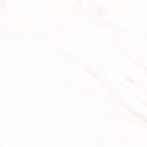 Frost in Snow 12x24 Matte Tile
