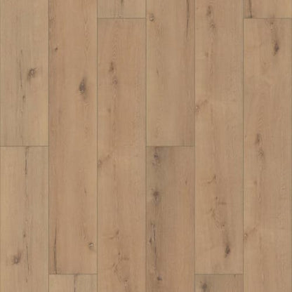 CORETEC PRO ENHANCED VV491 in Cairo Oak
