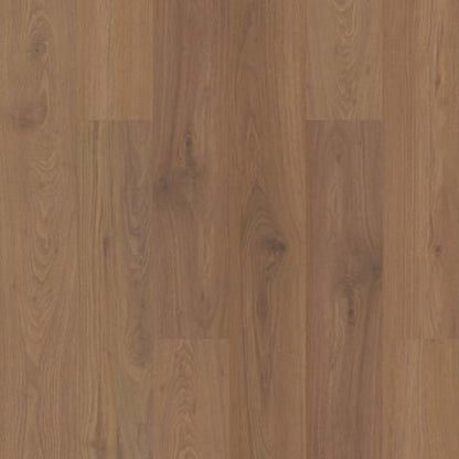 CT HD 7X60 INTG in Irene Walnut