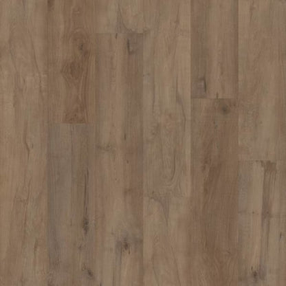 CORETEC PRO PREMIUM VV800 in Warwick Maple