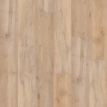 CORETEC PRO PREMIUM VV800 in Brookfield Maple