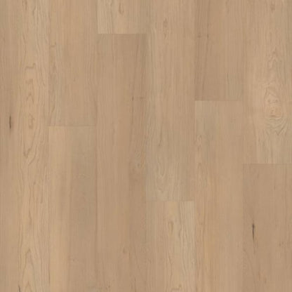 CORETEC PRO PREMIUM VV800 in Douglas Maple