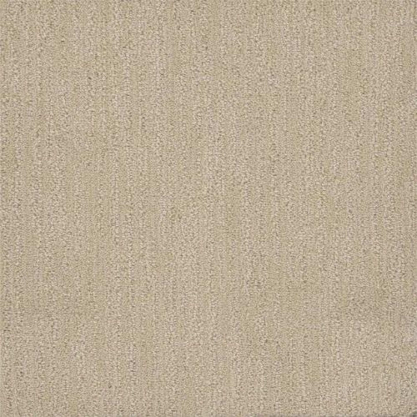 SURFSIDE in Vanilla Sky Carpet