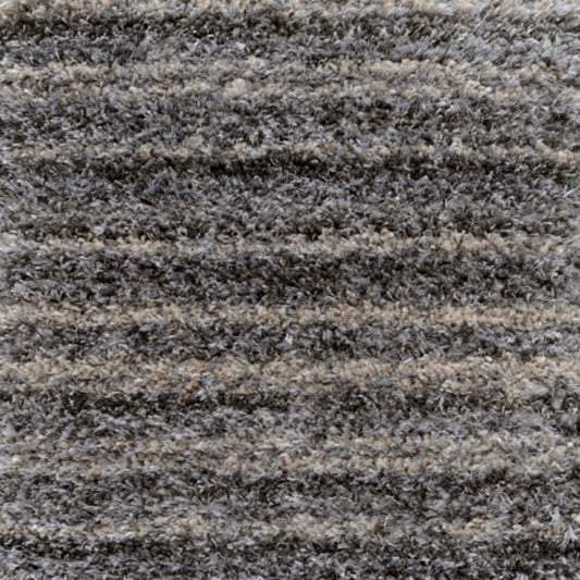 Virtuoso in Elevated Carpet