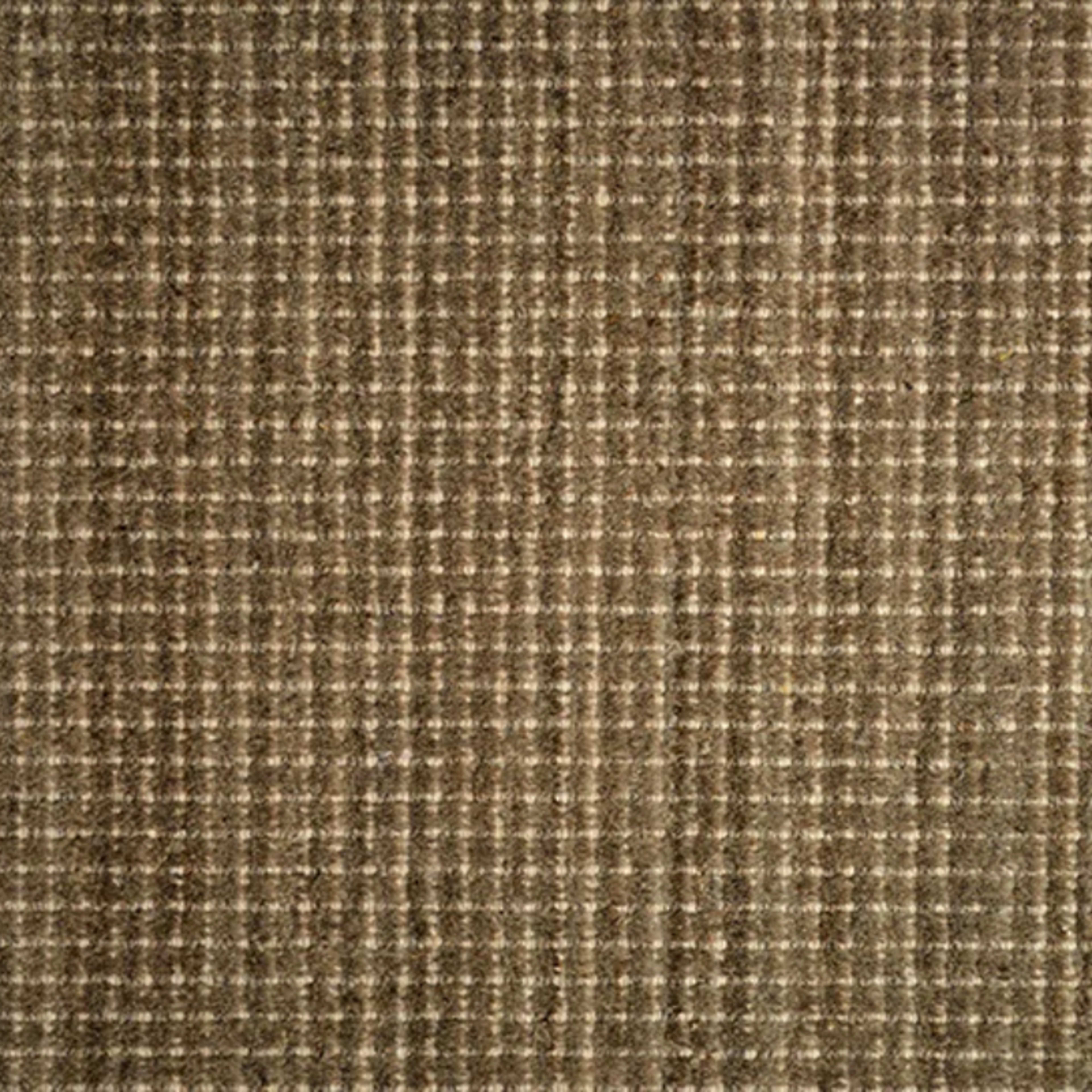 Winston (cav) in Mica Carpet