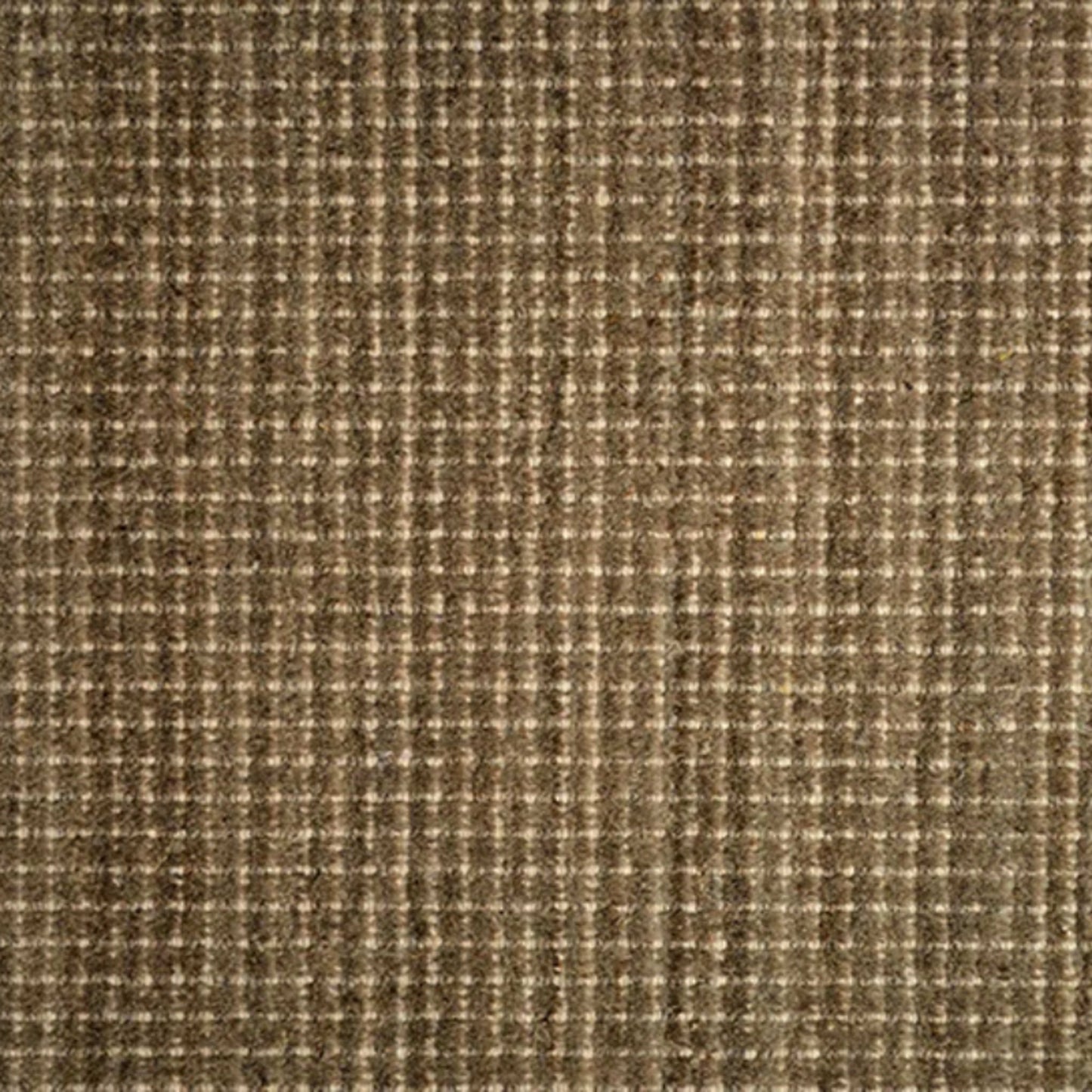 Winston (cav) in Mica Carpet