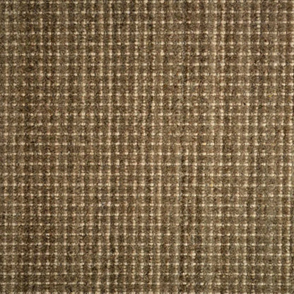 Winston (cav) in Mica Carpet