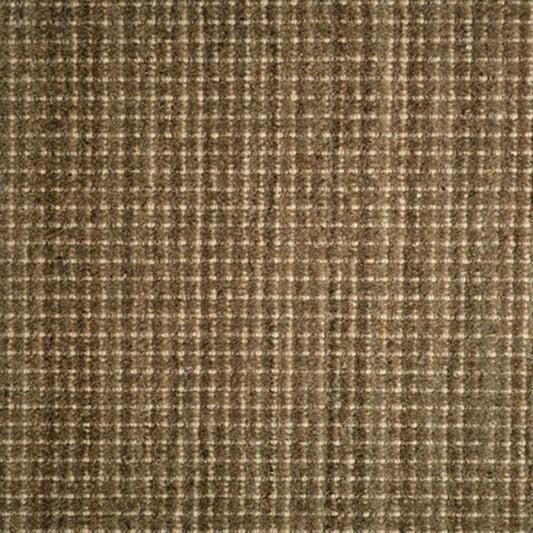 Winston (cav) in Mica Carpet