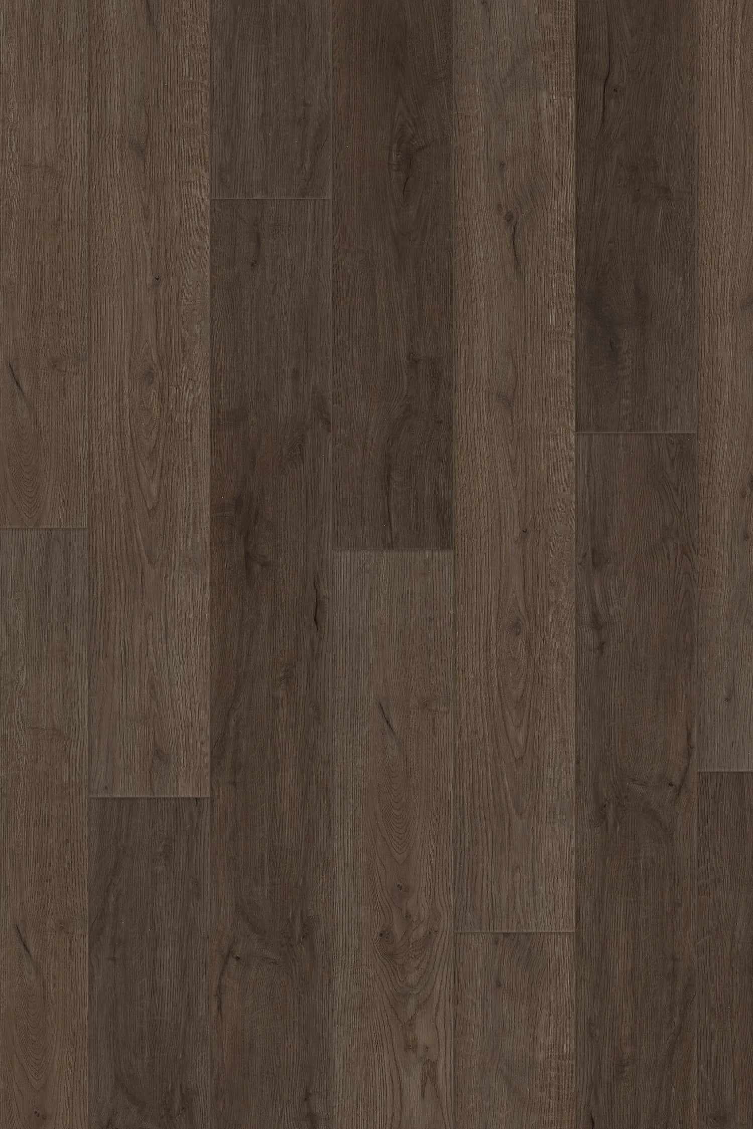 Comfort in Moonlight Oak Luxury Vinyl by Canopy Floors #common