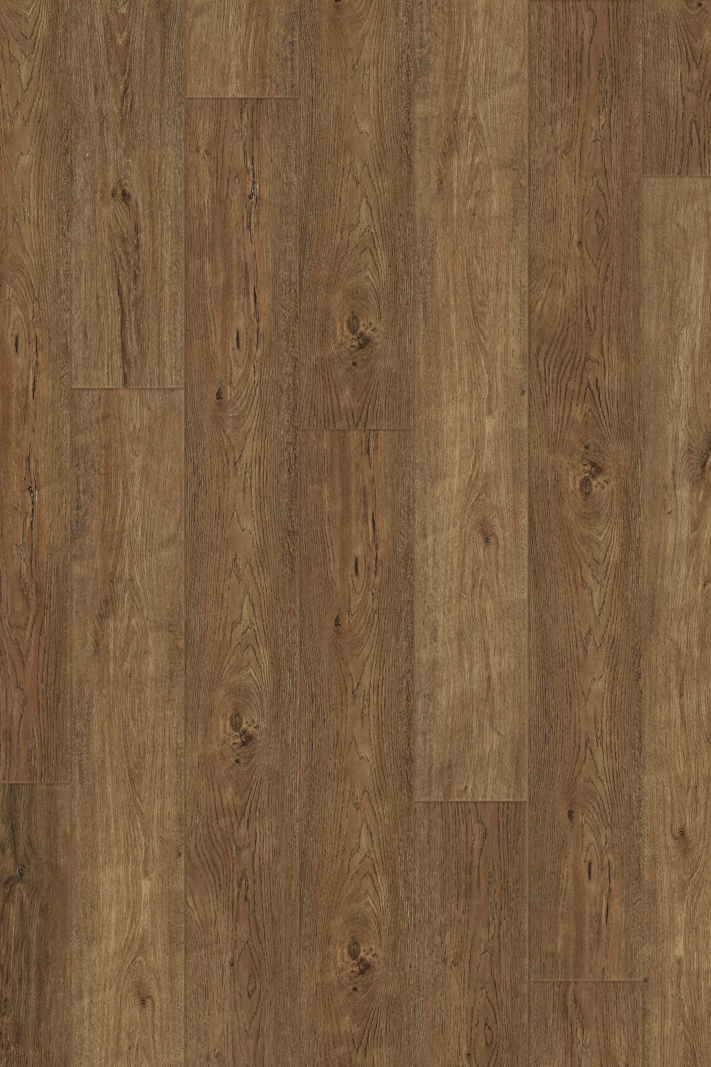 Comfort in Base Camp Hickory Luxury Vinyl by Canopy Floors #common