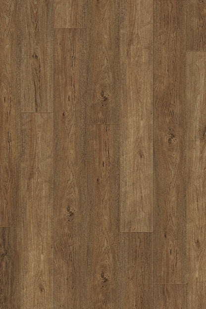 Comfort in Base Camp Hickory Luxury Vinyl by Canopy Floors #common