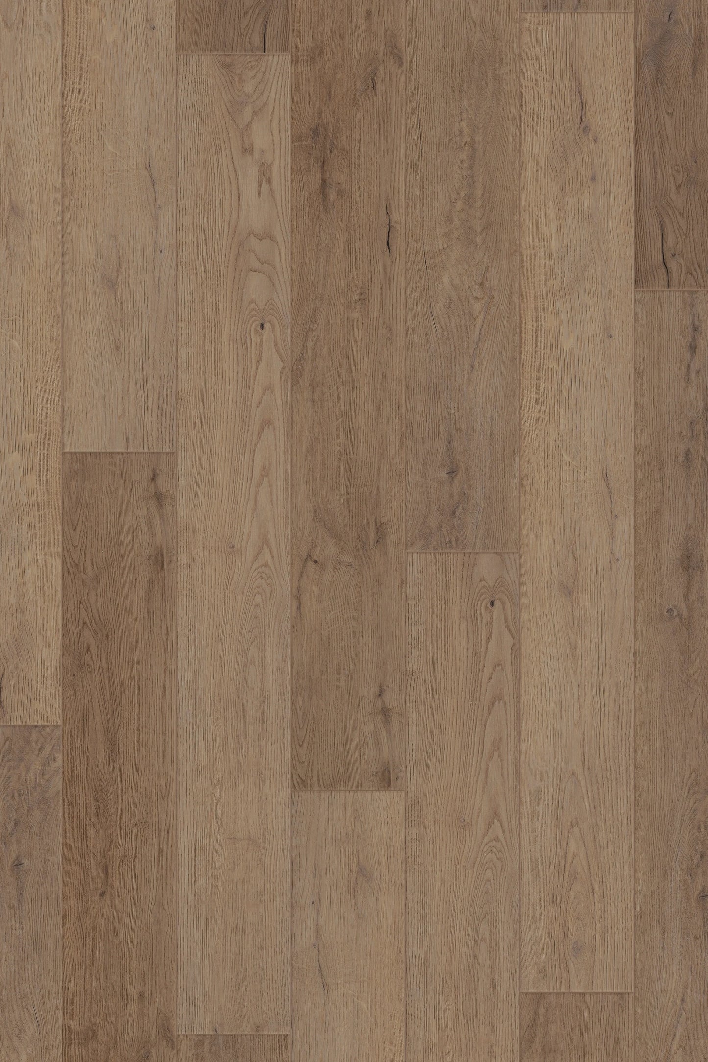 Comfort in Reverie Oak Luxury Vinyl by Canopy Floors #common
