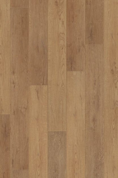 Comfort in  Summer Oak Luxury Vinyl by Canopy Floors #common