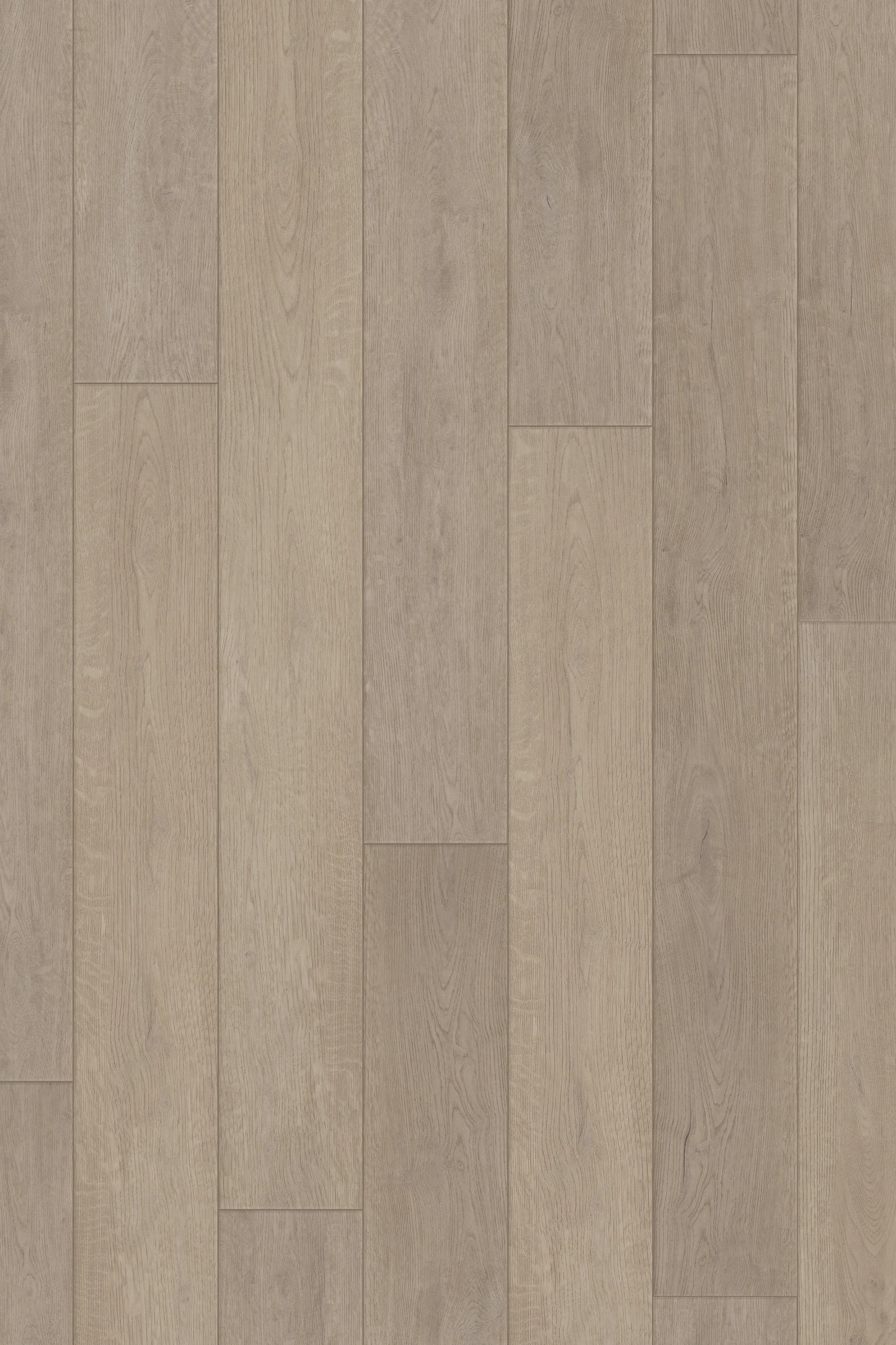 Comfort in Misty Oak Luxury Vinyl by Canopy Floors #common