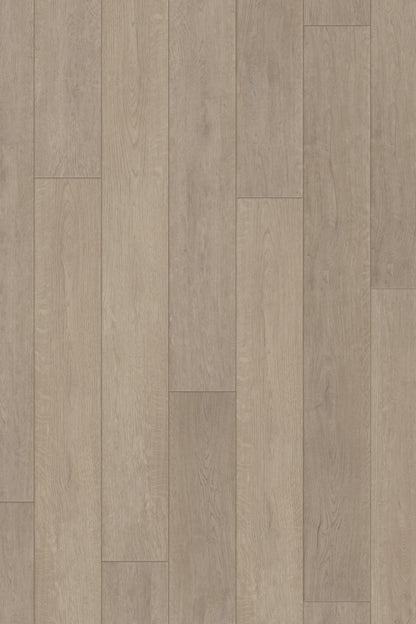Comfort in Misty Oak Luxury Vinyl by Canopy Floors #common