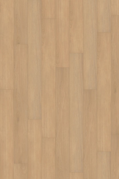 Comfort in Ivory Oak Luxury Vinyl by Canopy Floors #common
