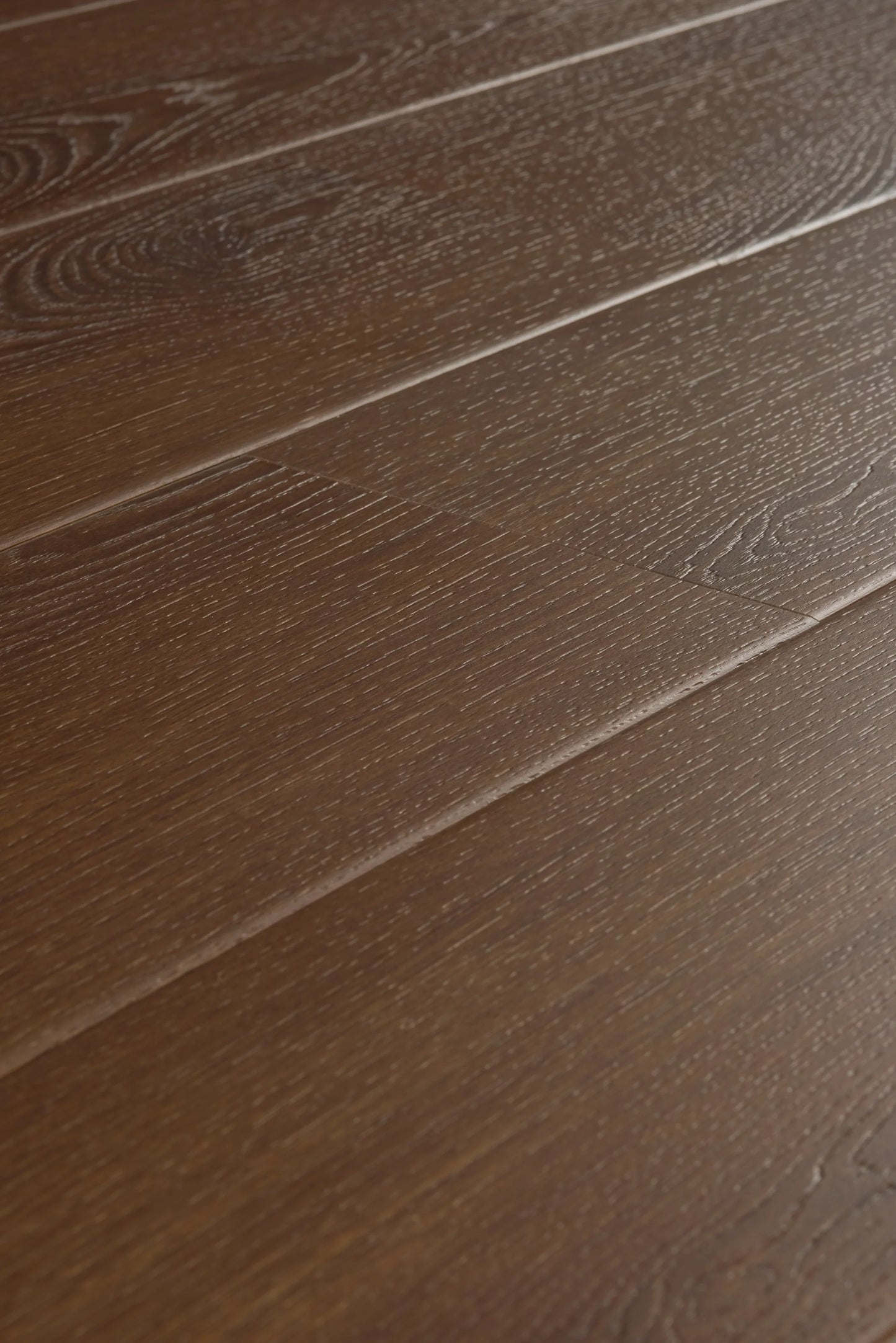 Mocha Oak