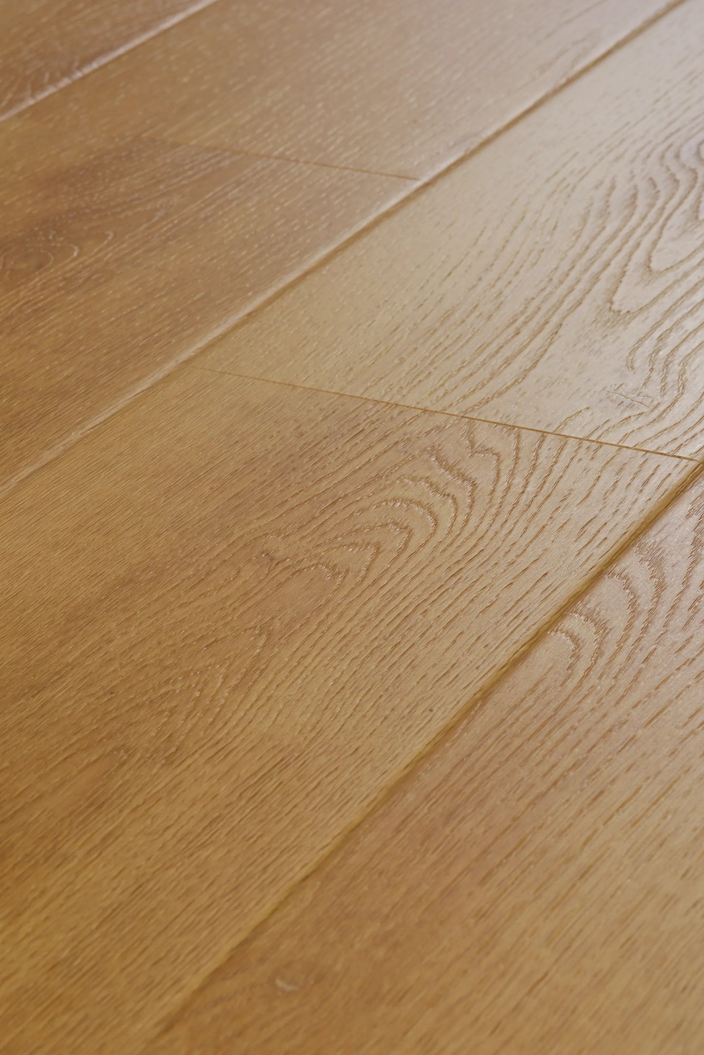 Dawn Oak