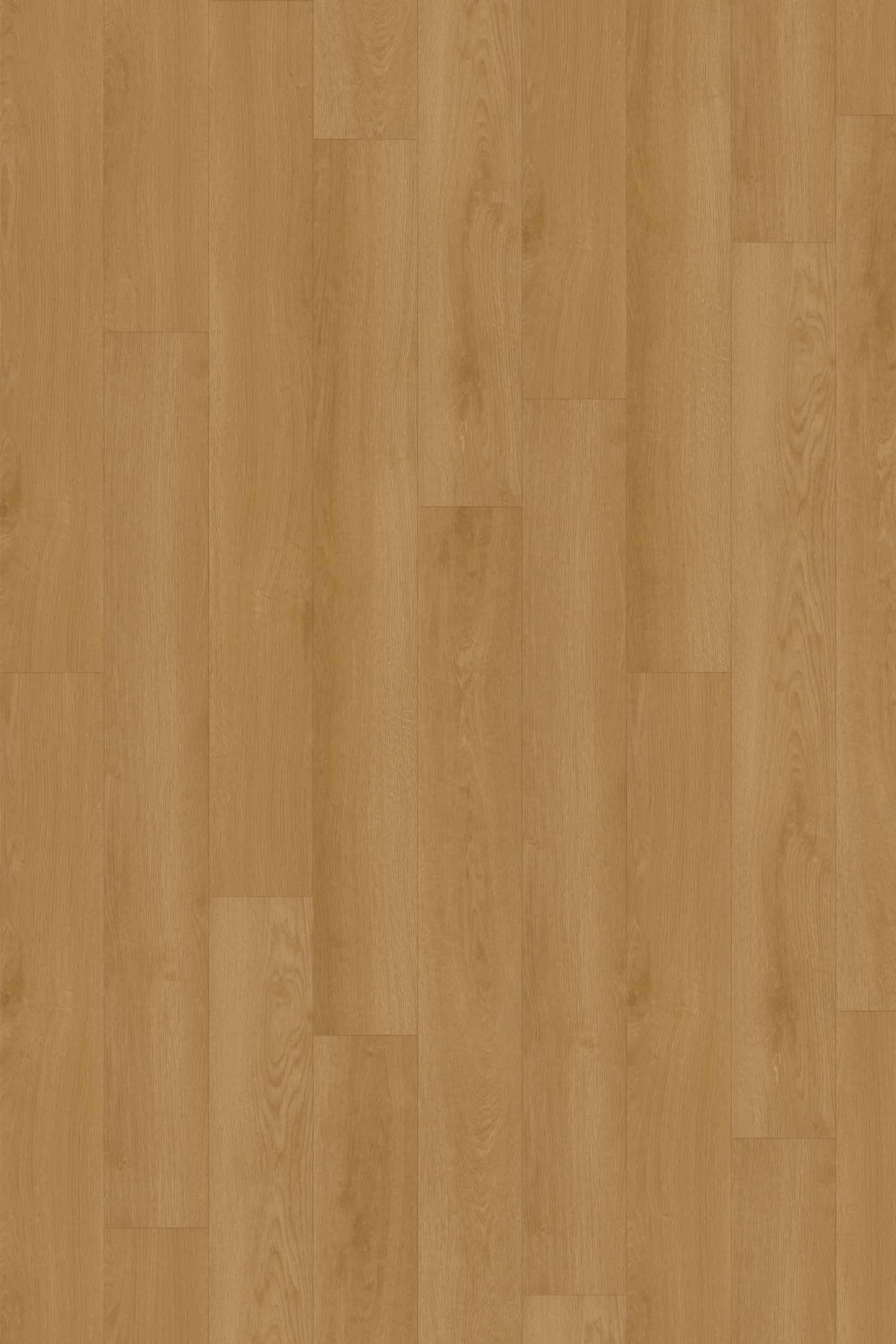 Comfort in Dawn Oak Luxury Vinyl by Canopy Floors #common