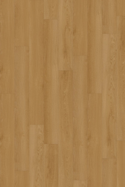 Comfort in Dawn Oak Luxury Vinyl by Canopy Floors #common
