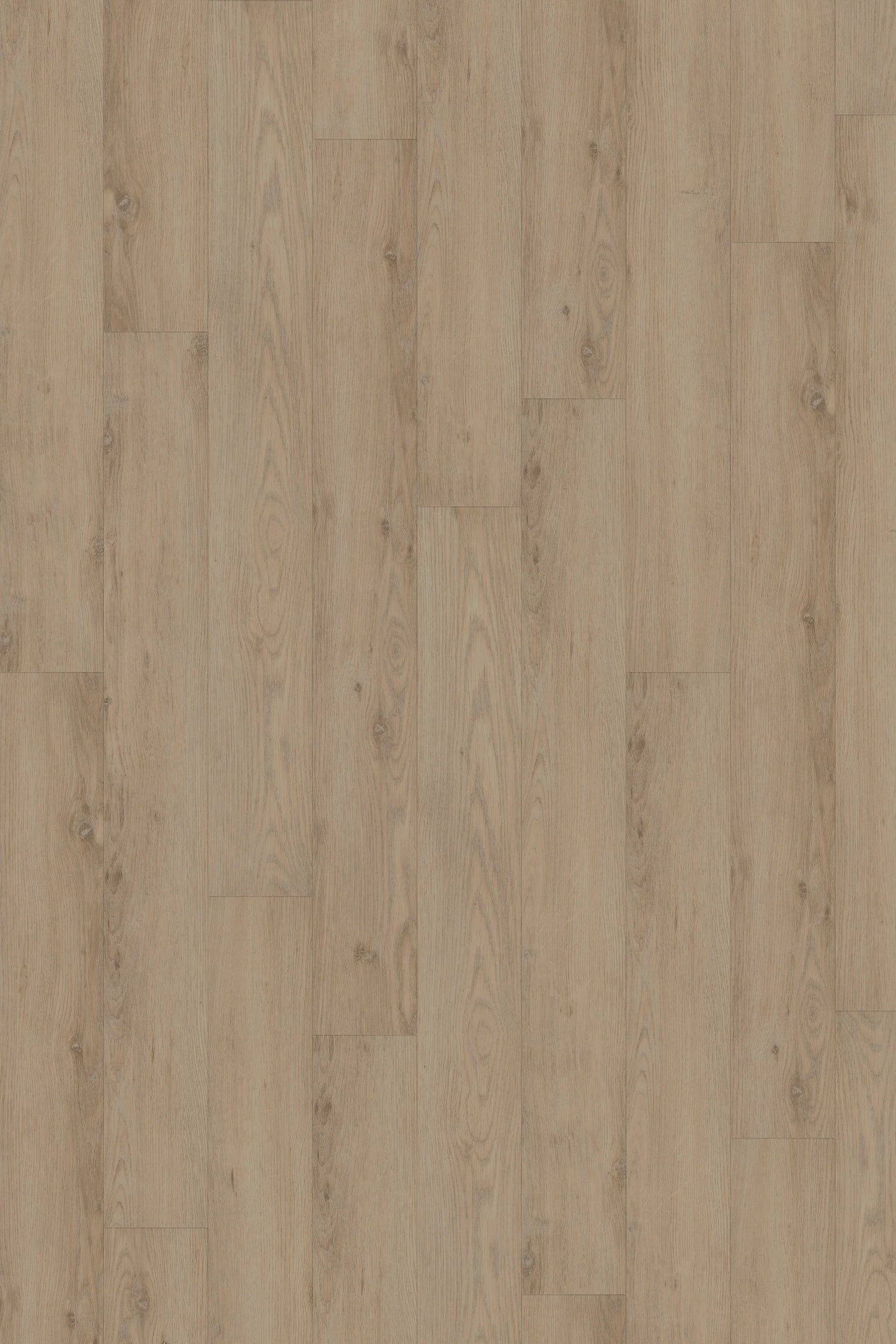 Comfort in Sterling Oak Luxury Vinyl by Canopy Floors #common