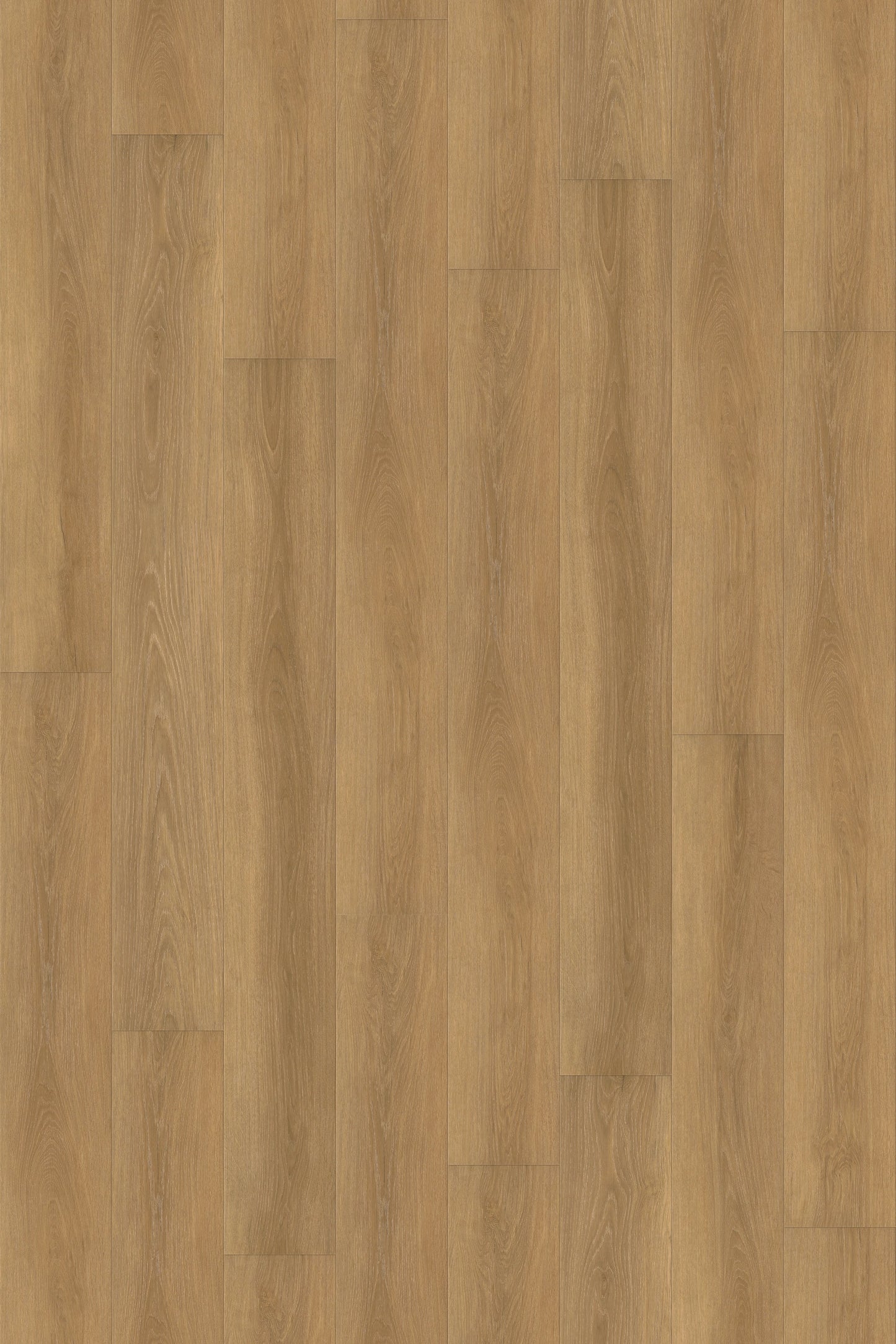 Comfort in Autumn Oak Luxury Vinyl by Canopy Floors #common