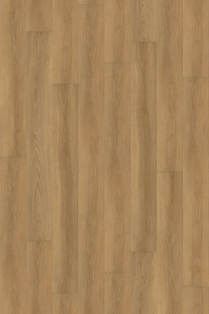 Comfort in Autumn Oak Luxury Vinyl by Canopy Floors #common