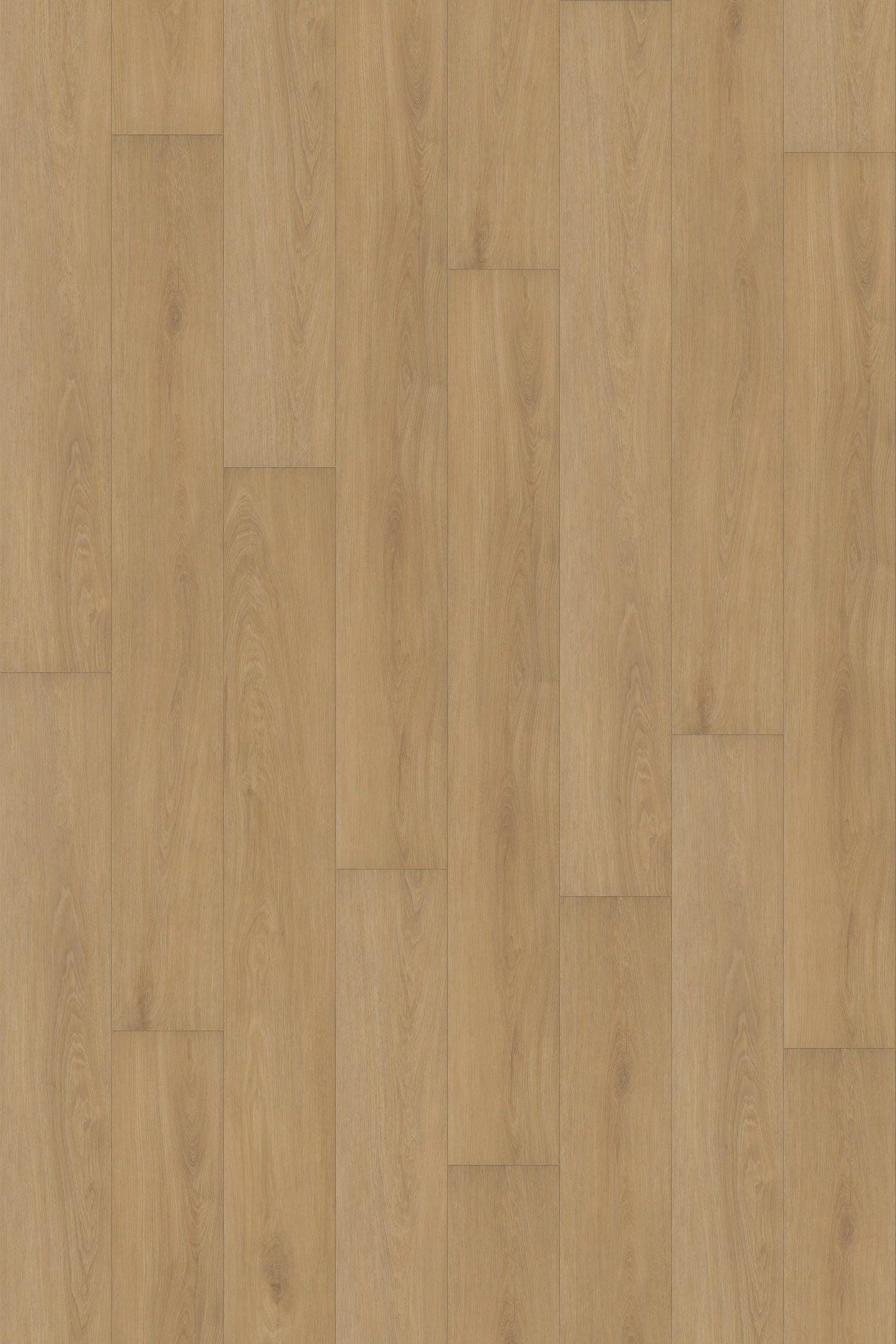 Comfort in Veranda Oak Luxury Vinyl by Canopy Floors #common