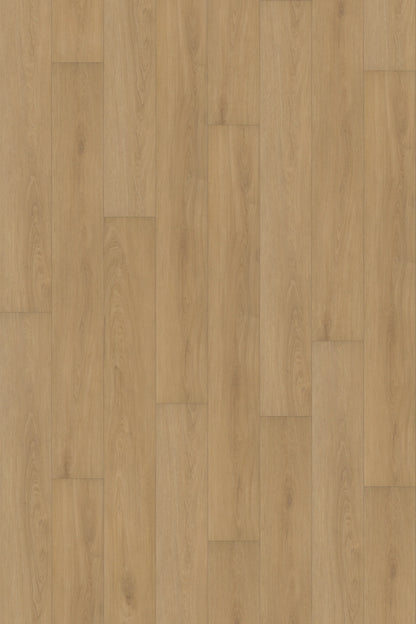 Comfort in Veranda Oak Luxury Vinyl by Canopy Floors #common