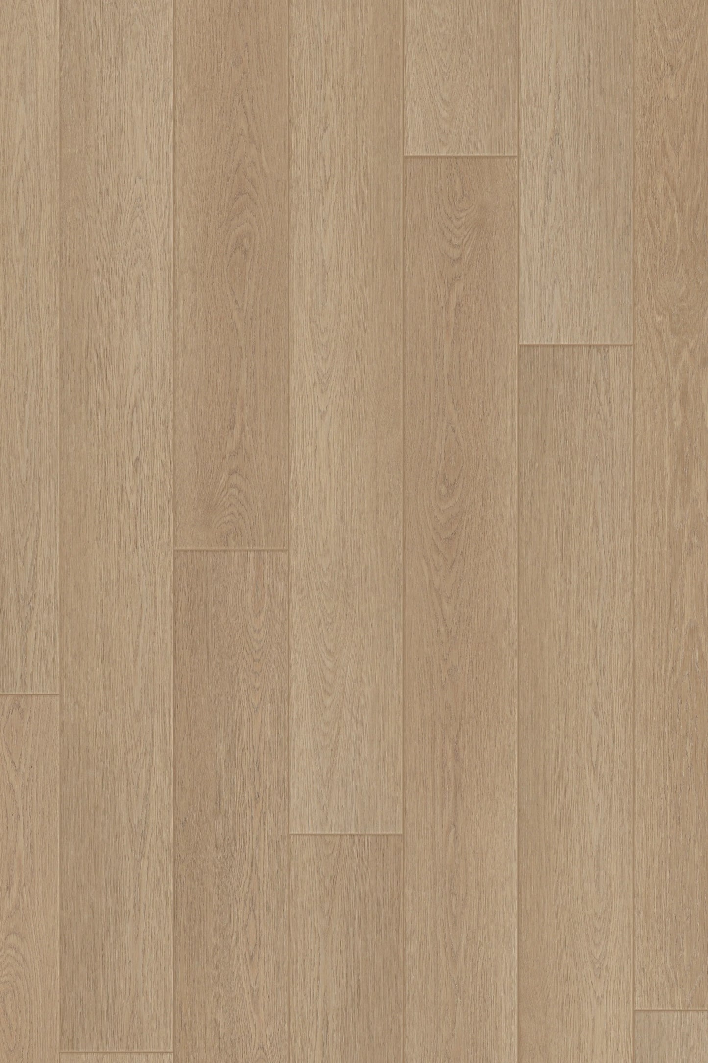 Comfort  Performance in Harbor Oak Luxury Vinyl by Canopy Floors #common