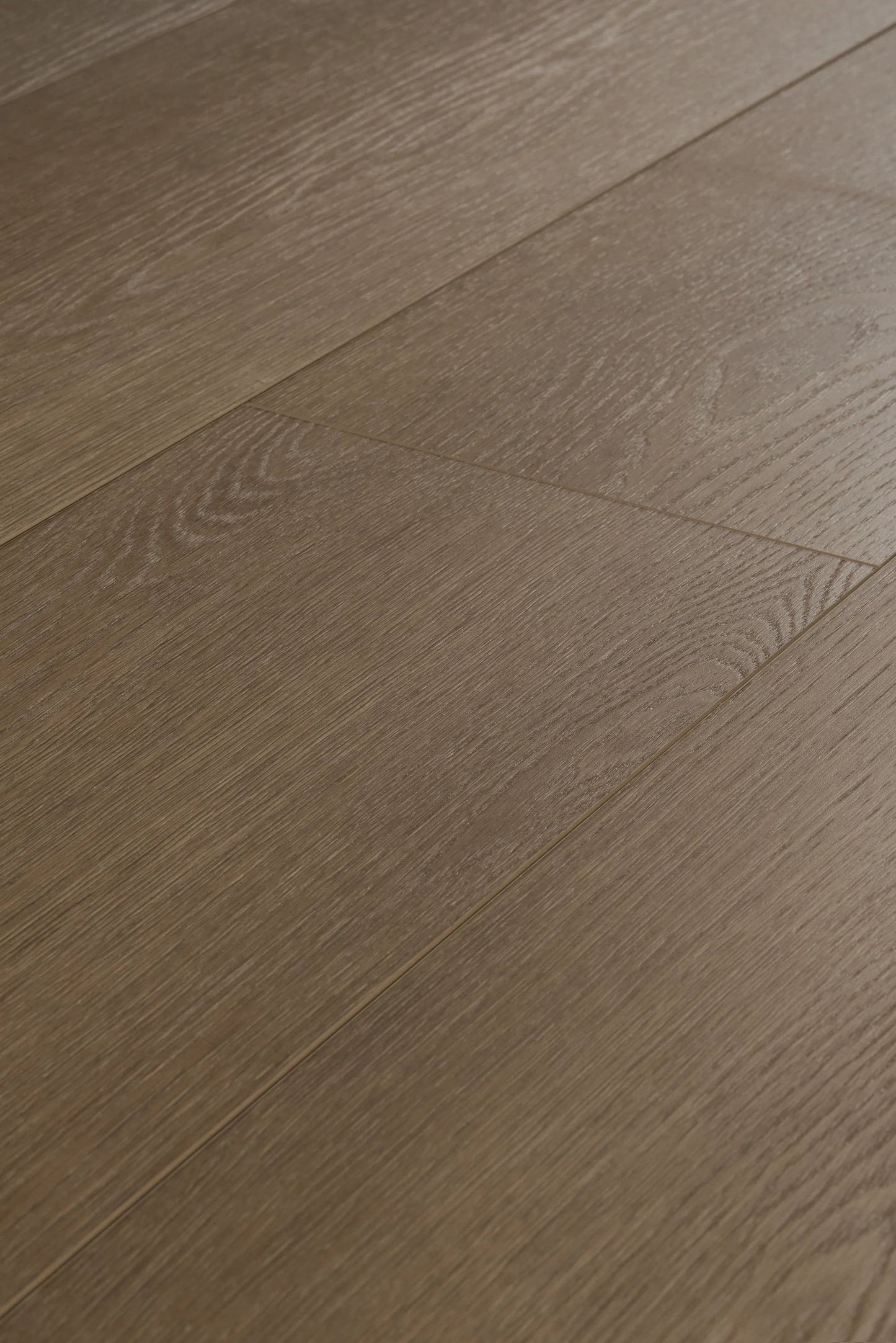 English Oak