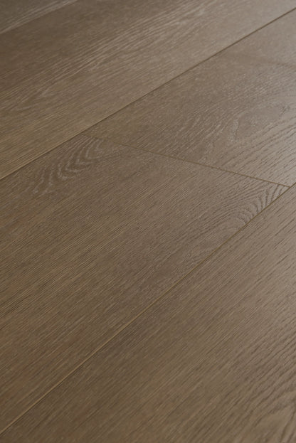 English Oak