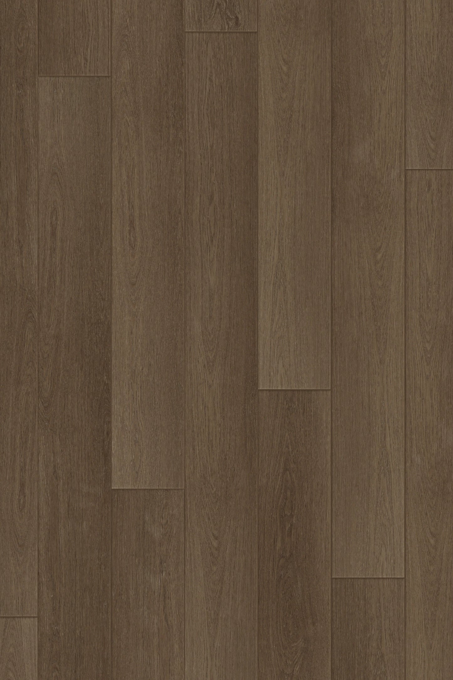 Comfort Performance in English Oak Luxury Vinyl by Canopy Floors #common