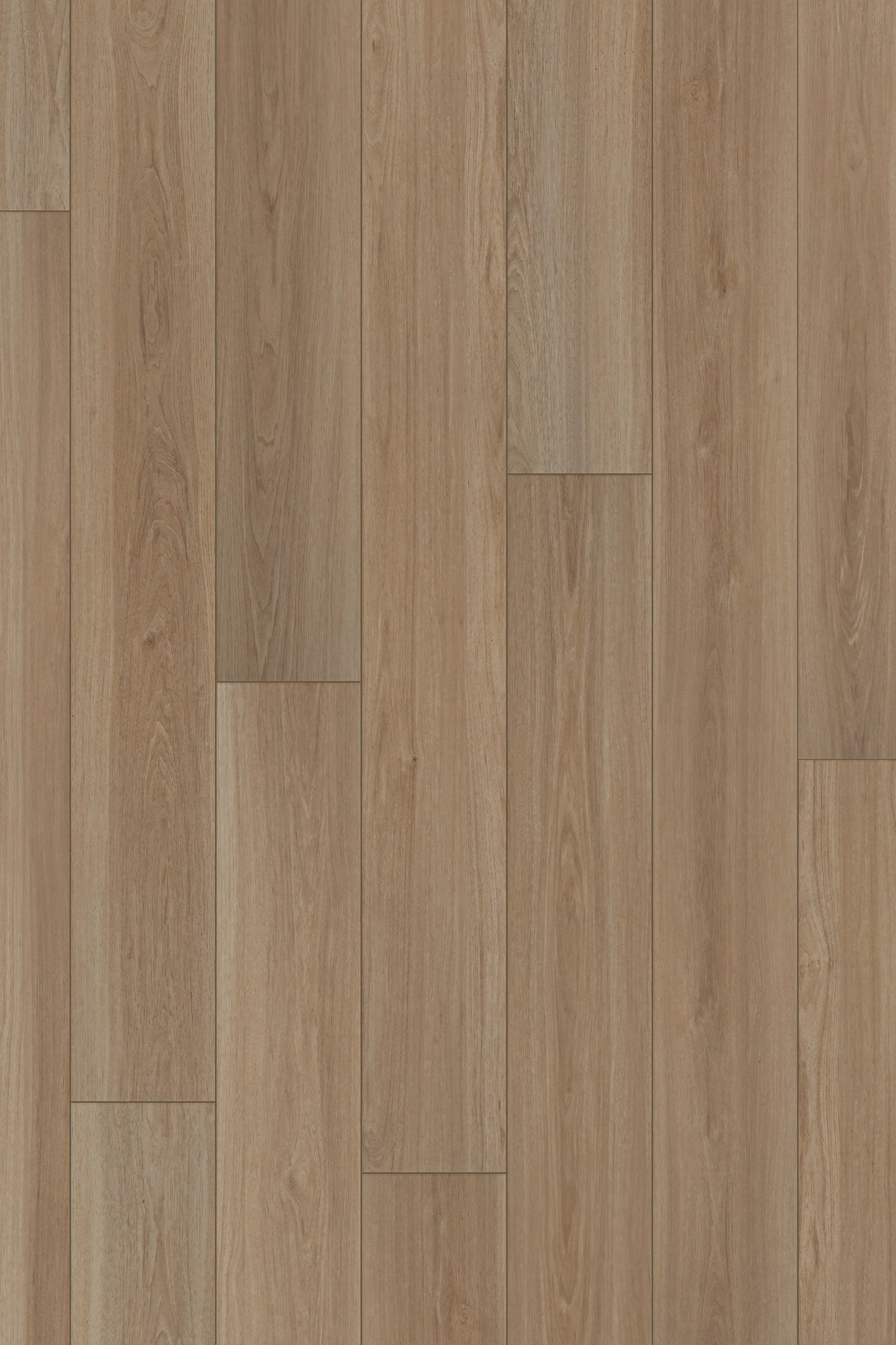 Comfort Premium in Latte Oak Luxury Vinyl by Canopy Floors