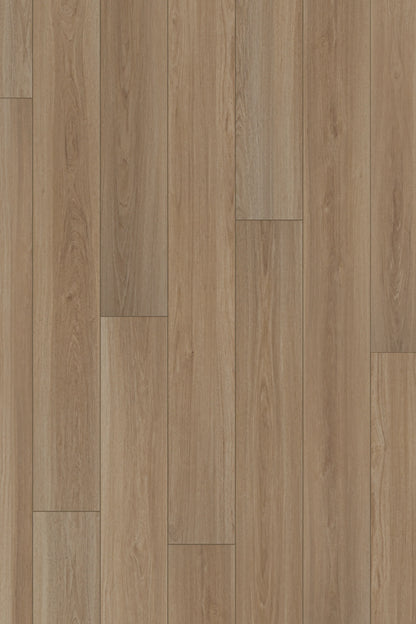 Comfort Premium in Latte Oak Luxury Vinyl by Canopy Floors