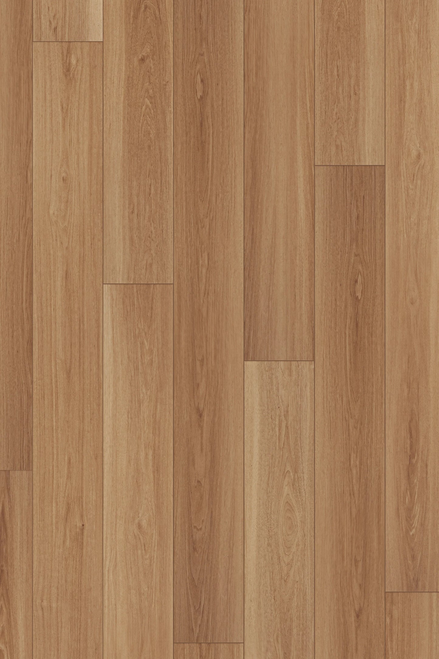 Comfort Premium in Harvest Oak Luxury Vinyl | Canopy Floors