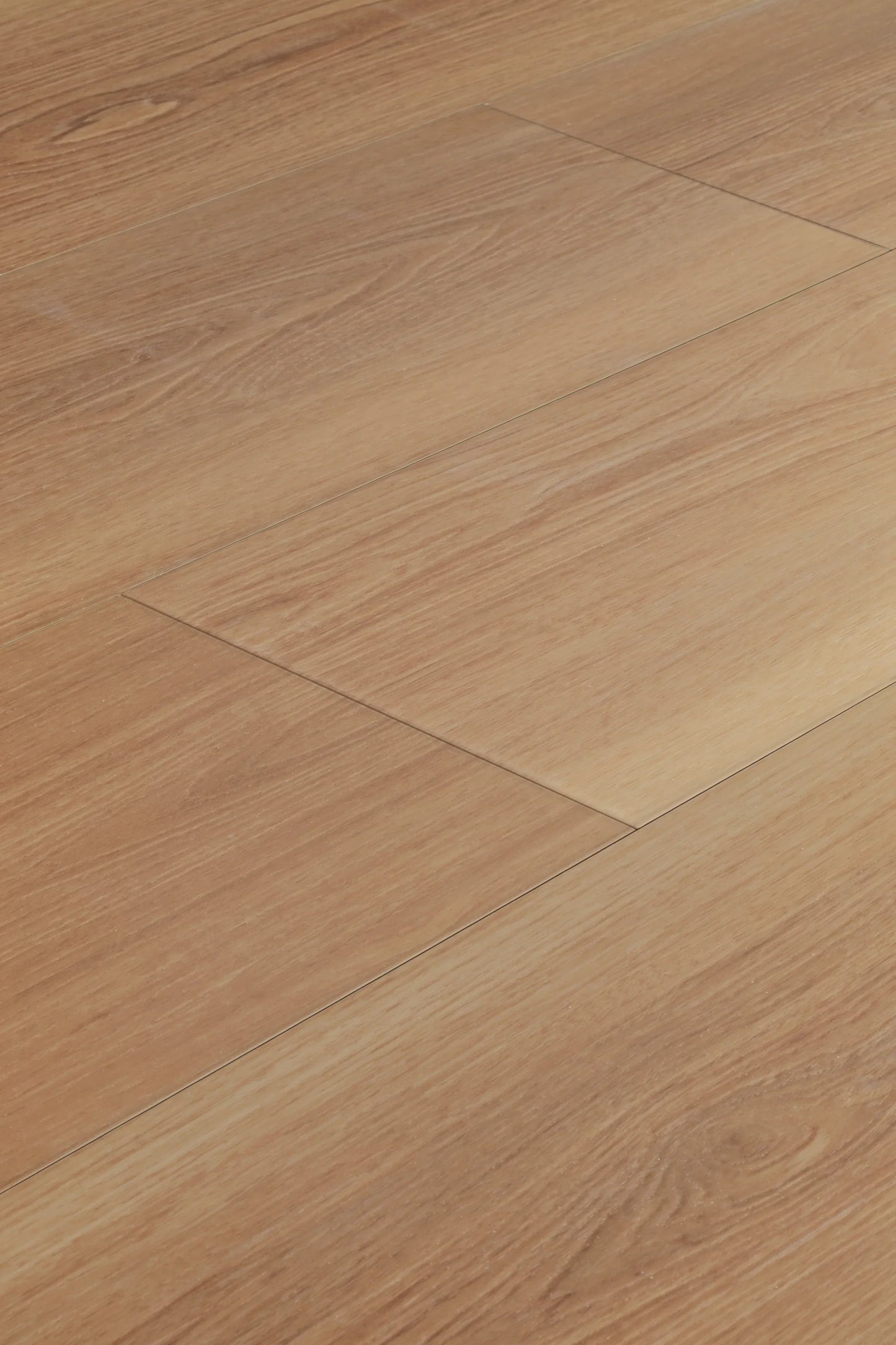 Saddle Oak