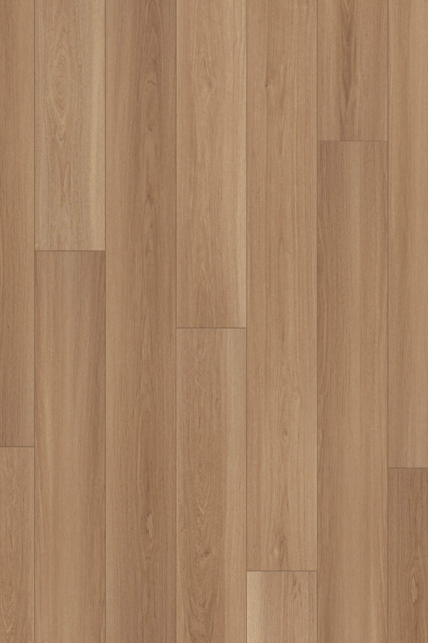 Comfort Premium in Saddle Oak Luxury Vinyl by Canopy Floors #common