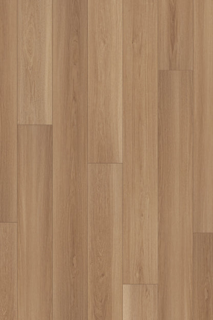 Comfort Premium in Saddle Oak Luxury Vinyl by Canopy Floors #common