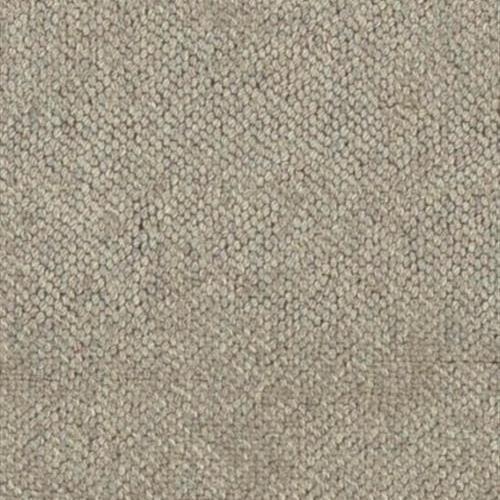 Winter Park in Taupe Carpet