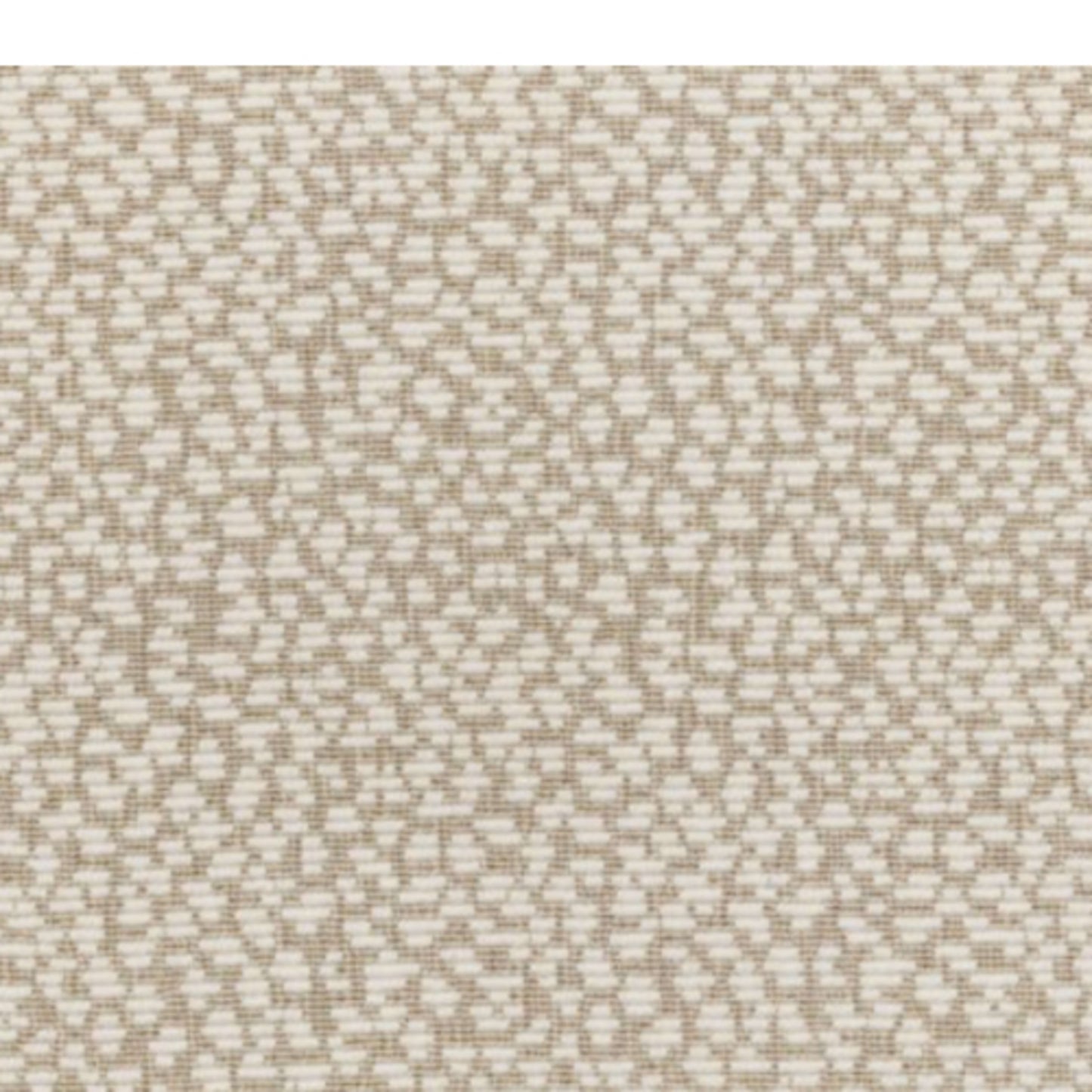 Floria Stria in Linen Carpet