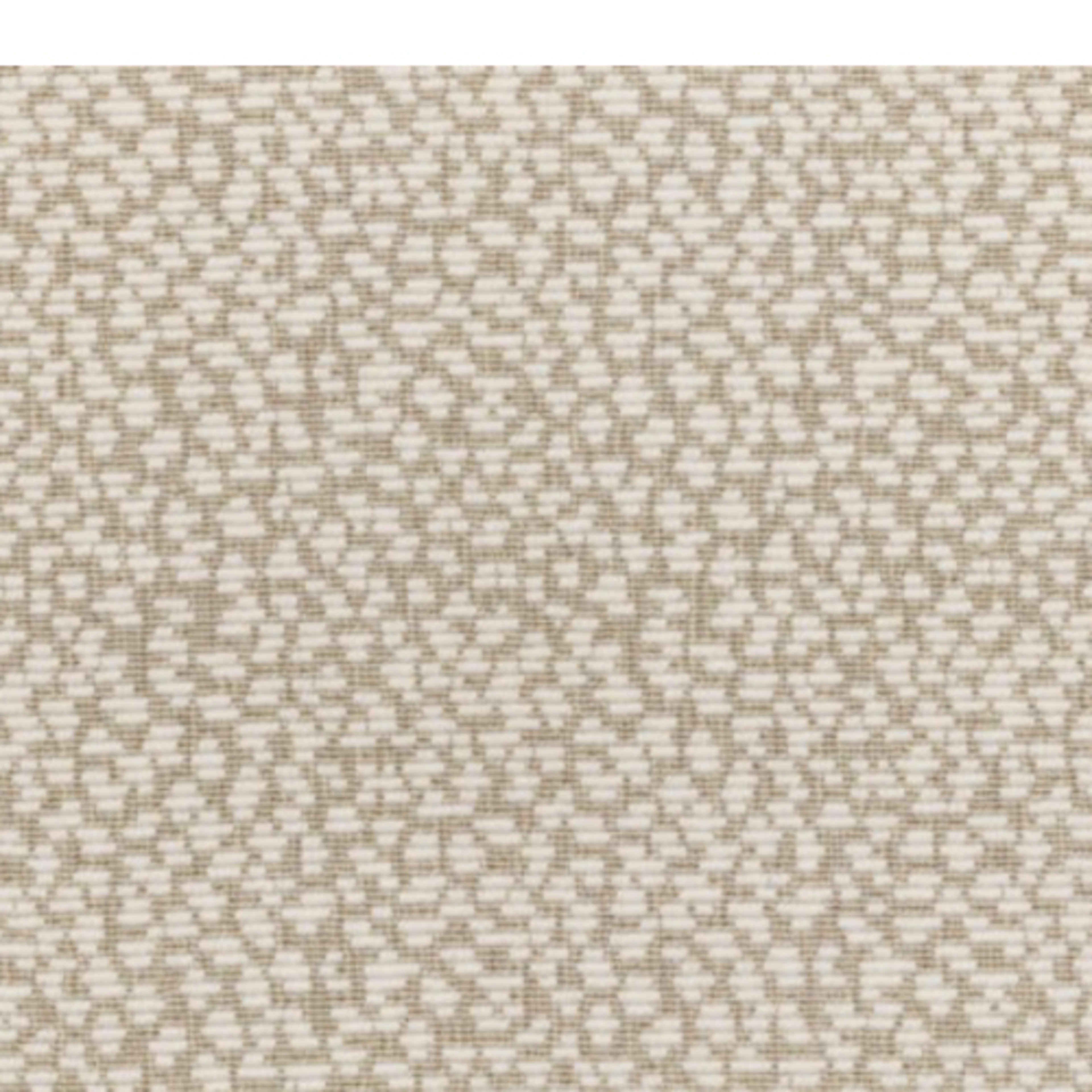 Floria Stria in Linen Carpet