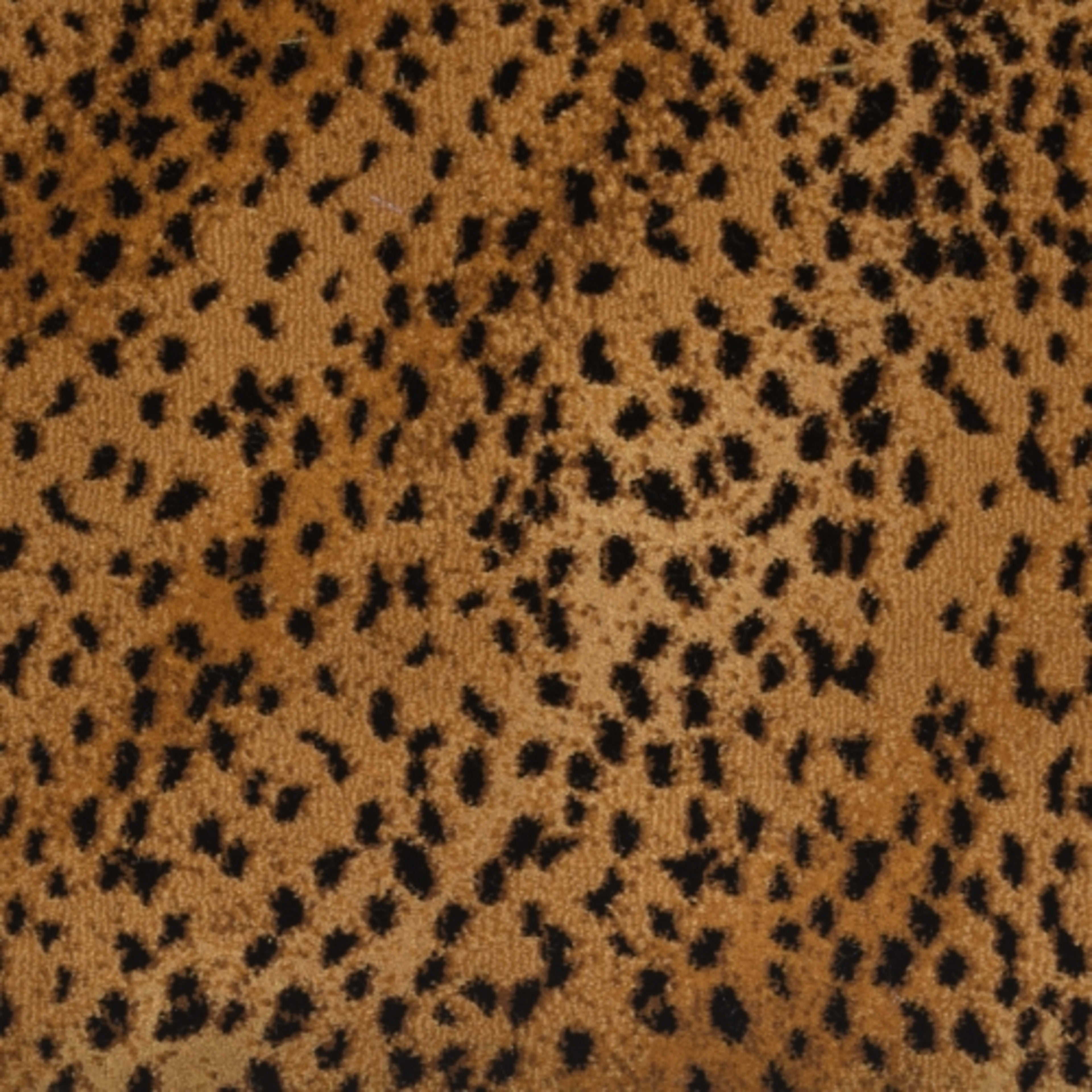 Wild Asia in Badger 38.5 Carpet