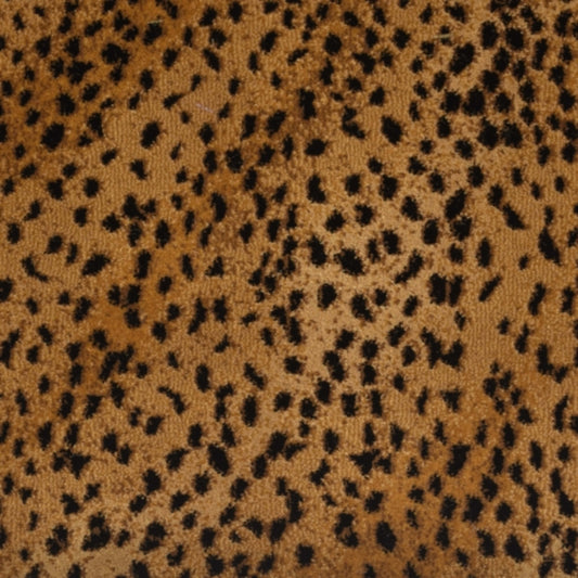 Wild Asia in Badger 38.5 Carpet