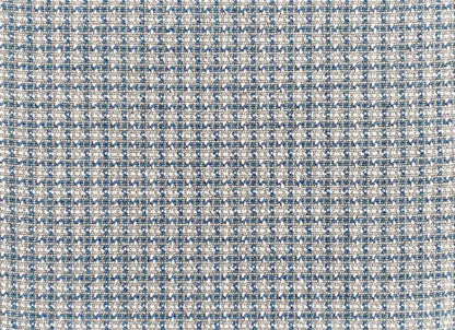 Wild n Wooly - Chalen