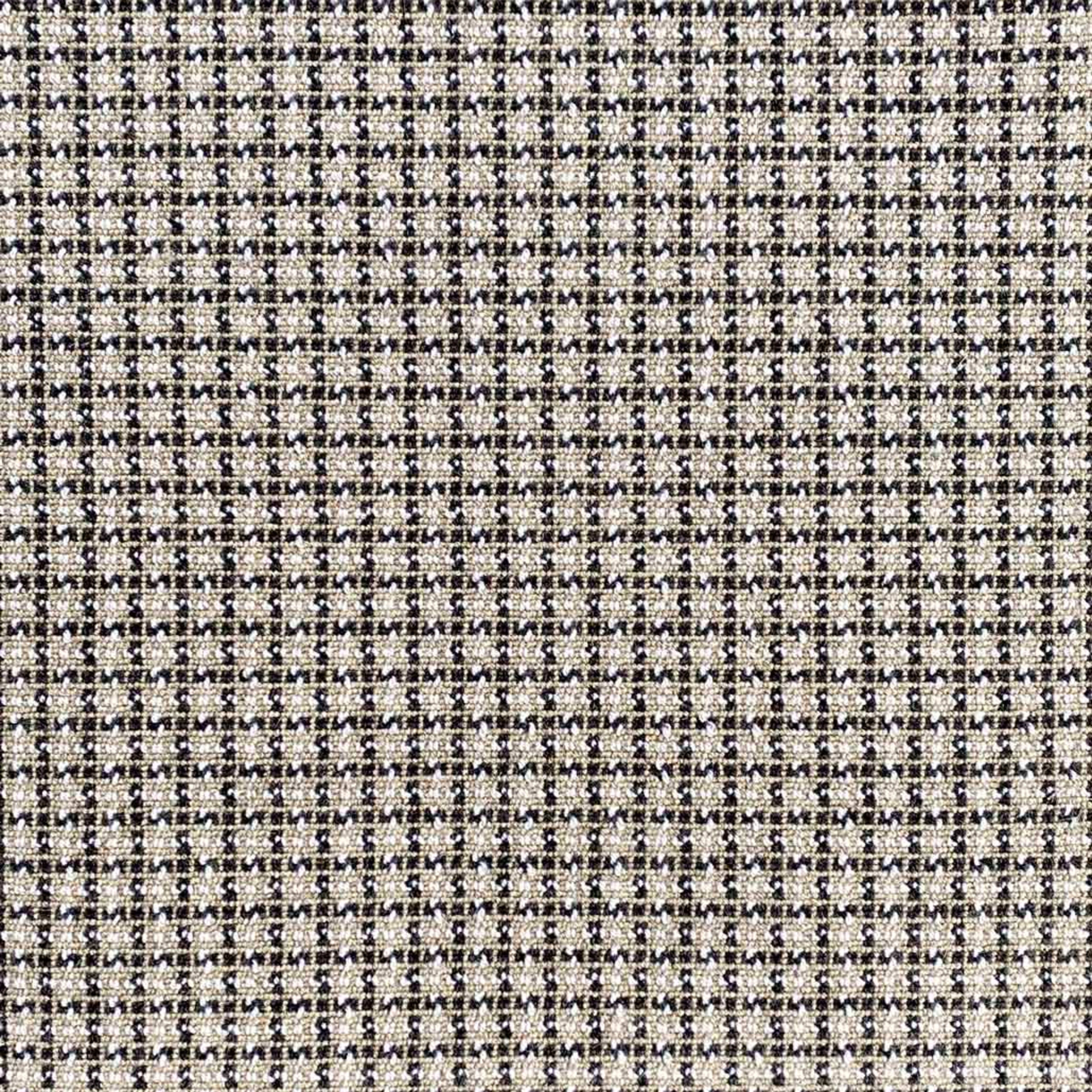 Wild n Wooly - Chalen in Charcoal Carpet