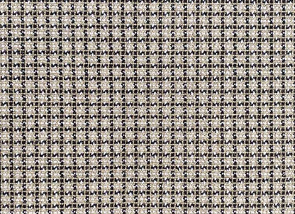 Wild n Wooly - Chalen
