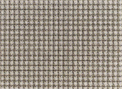 Wild n Wooly - Chalen